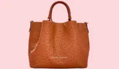 Dooney and Bourke Ostrich Giveaway