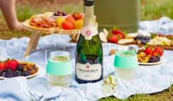 Ultimate Picnic Giveaway