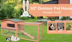 Aosoms Fall Pet Rabbit Hutch Giveaway