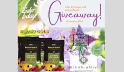 Black Gold x New Age Lavender Lilac Giveaway