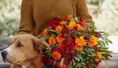 Bouqs Free Flowers Giveaway