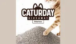 Caturday Giveaway