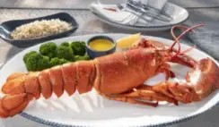 My Red Lobster Rewards 1 Million Points Giveaway