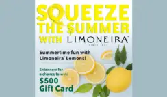 $500 Visa Gift Card Giveaway