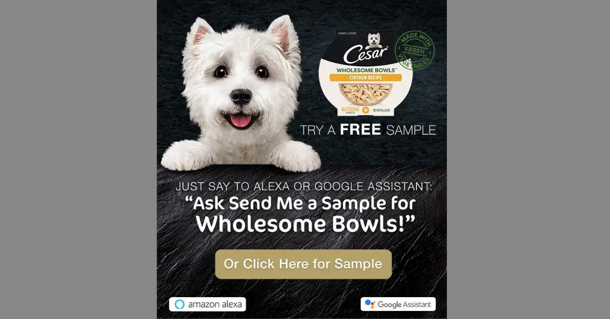 FREE Cesar Wholesome Bowls Samples from Send Me a Sample