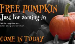 FREE Pumpkin at RC Willey Stores
