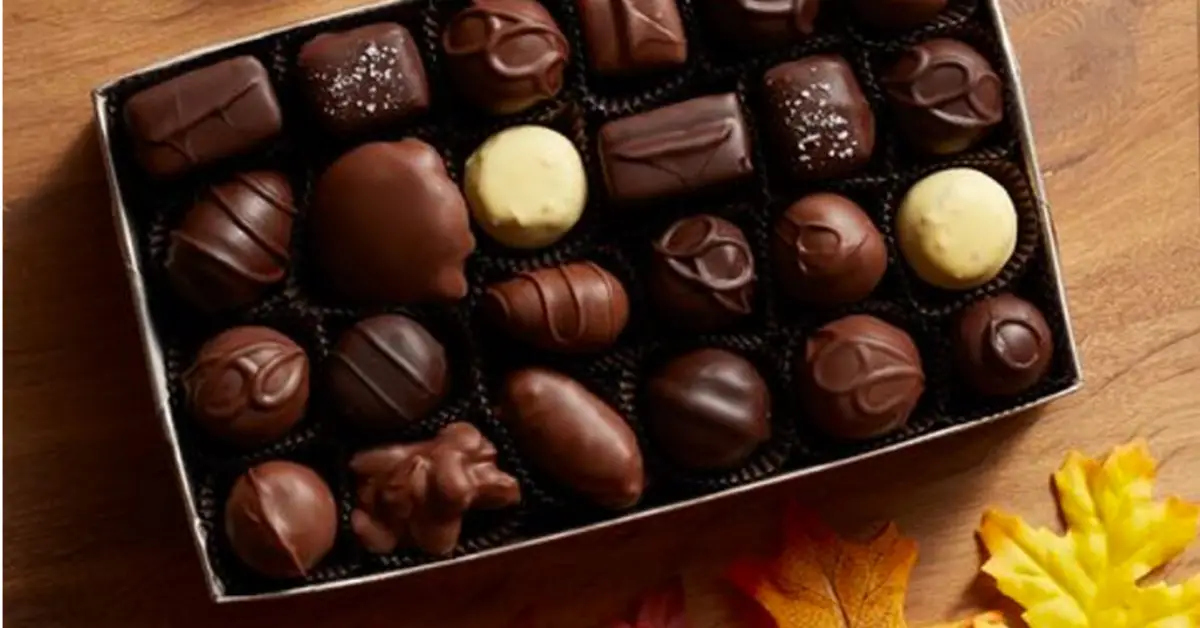 Fannie May Fall for Chocolate Giveaway and Instant Win Game