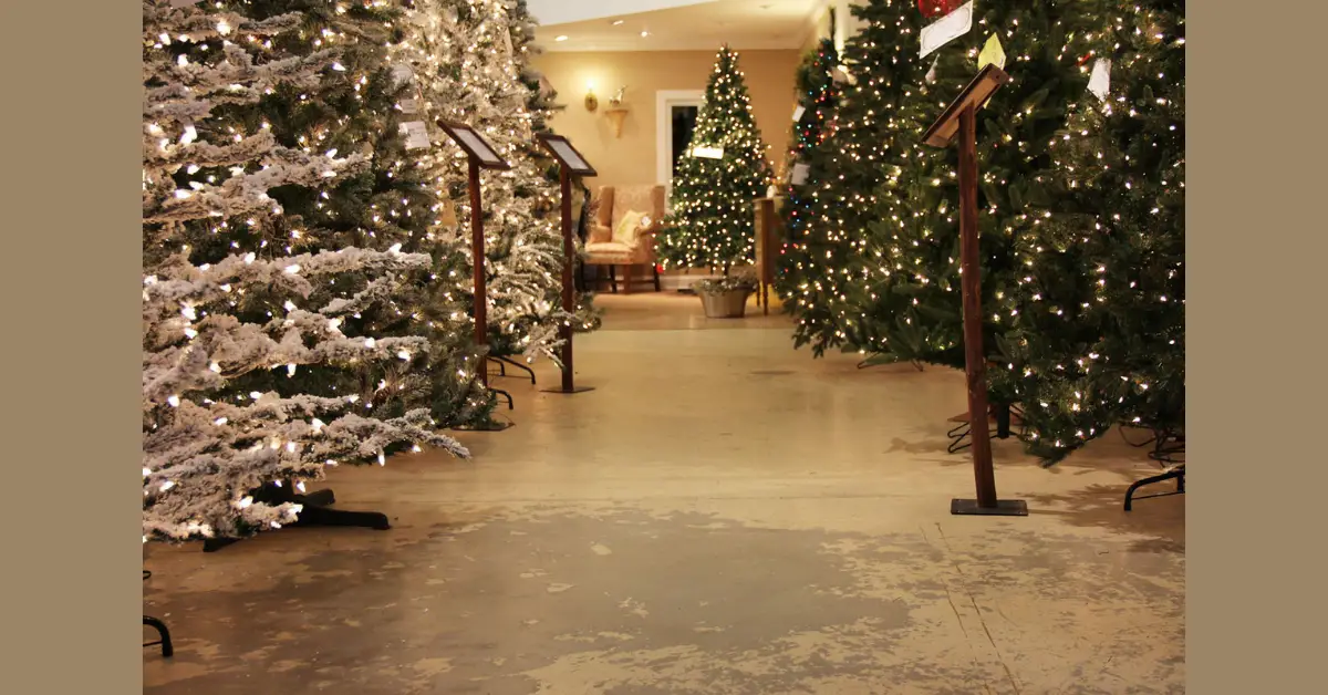 Treetime 2021 Pick Your Preferences Sweepstakes
