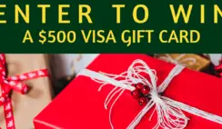 $500 Visa Gift Card Giveaway