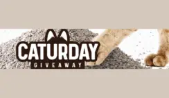 Caturday Giveaway