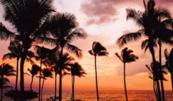 Contiki Hawaii Escape Sweepstakes
