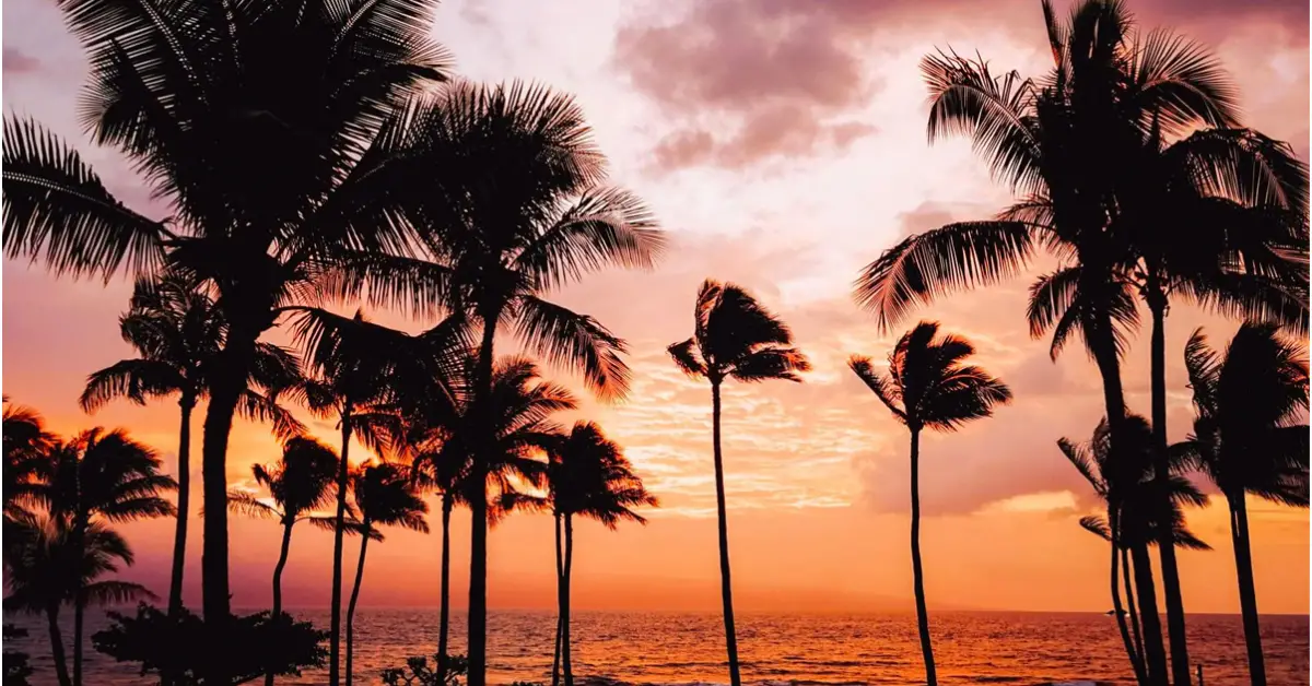 Contiki Hawaii Escape Sweepstakes