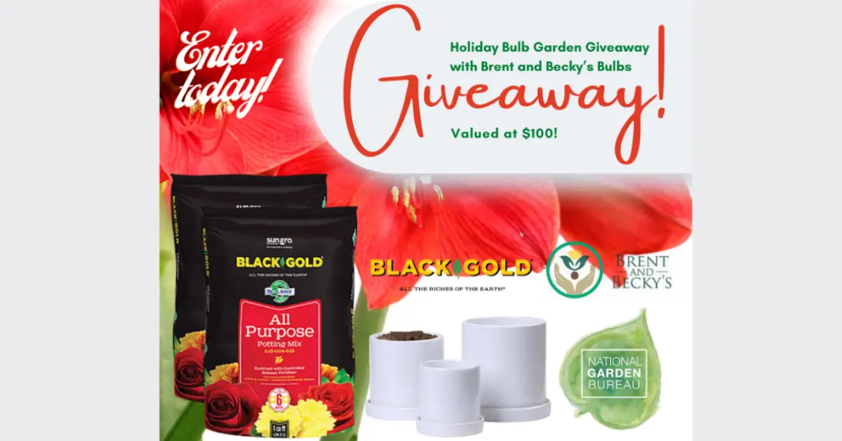 Holiday Bulb Garden Giveaway