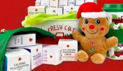 Revivas Xmas Giveaway
