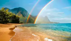 Heineken Dry January Hawaii Sweepstakes