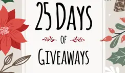 Kaleen Rugs 25 Days of Giveaways