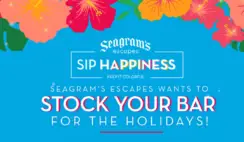 The Seagrams Escapes Stock Up Your Home Bar For the Holidays Sweepstakes