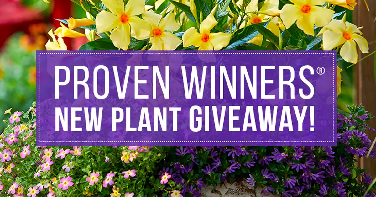 Proven Winners New Plant Giveaway