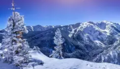 Last Run First Round Sweepstakes