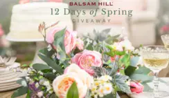 Balsam Hills 12 Days of Spring Giveaway
