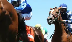 2023 Kentucky Derby Sweepstakes