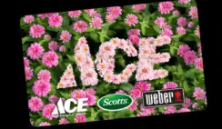 The Backyard OACEIS Sweepstakes