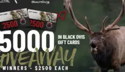 $5000 Giveaway