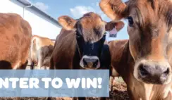 National Dairy Month Sweepstakes