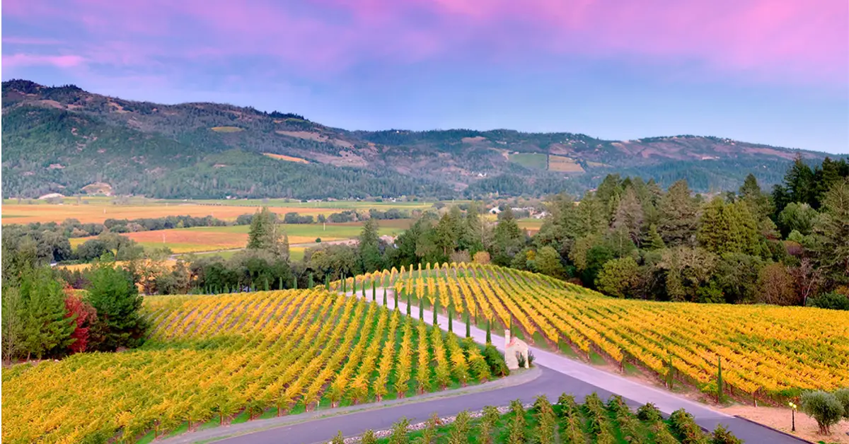 2022 Bread and Butter Napa Valley Sweepstakes