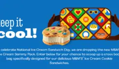 M&M Ice Cream Fanny Pack Giveaway