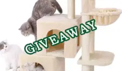 Cat Tree for Large Cats Giveaway