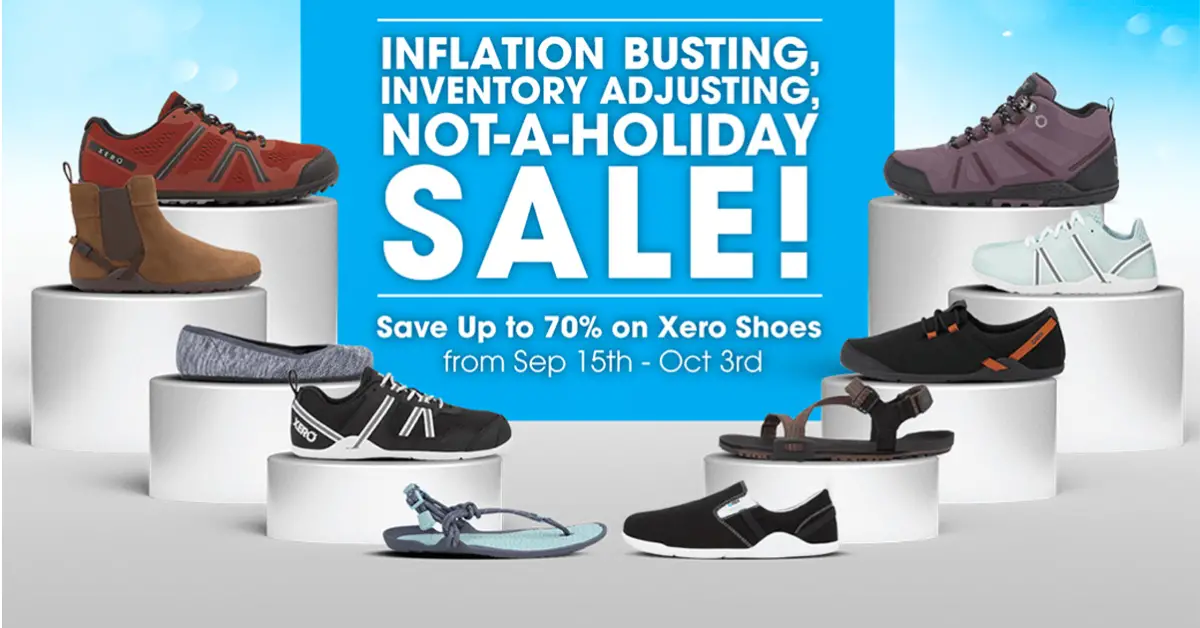 Inflation Busting Inventory Adjusting Not a Holiday Sale Sweepstakes