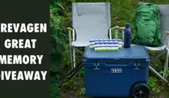 Prevagen Great Memory Giveaway