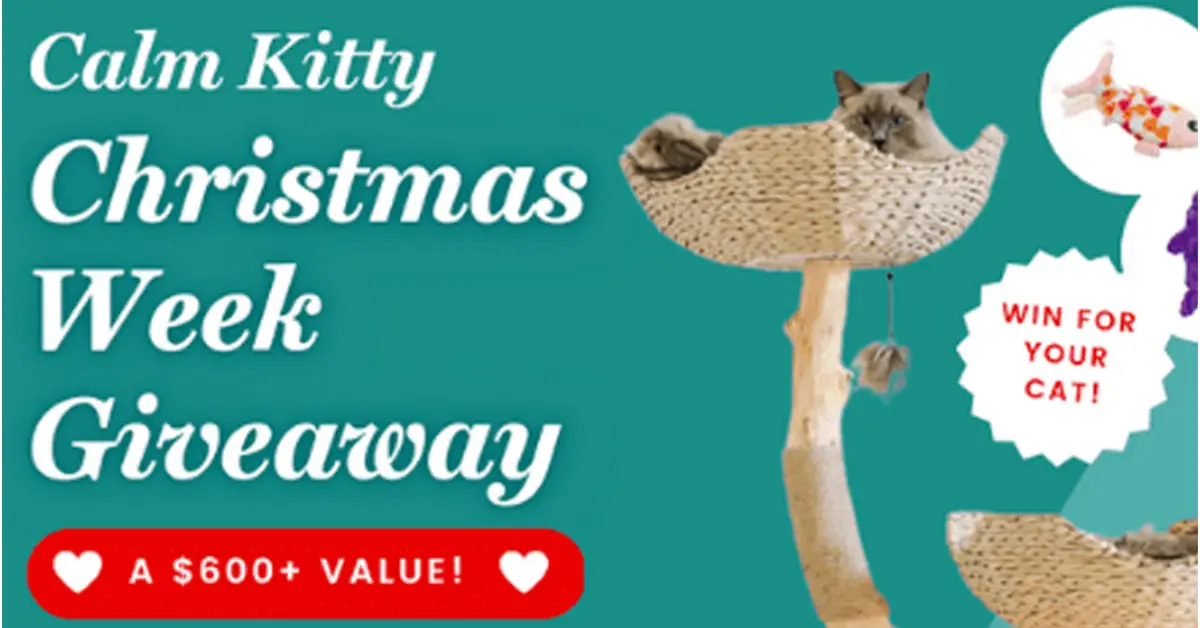 Calm Kitty Christmas Week Giveaway