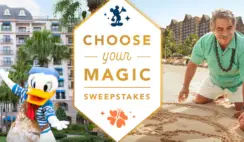 Choose Your Magic Sweepstakes