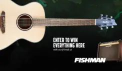 Breedloves January Acoustic Guitar Giveaway