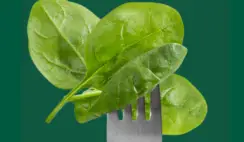 Fresh Express FreshIntentions Challenge Sweepstakes