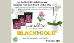 Just Add Ice Orchids Giveaway
