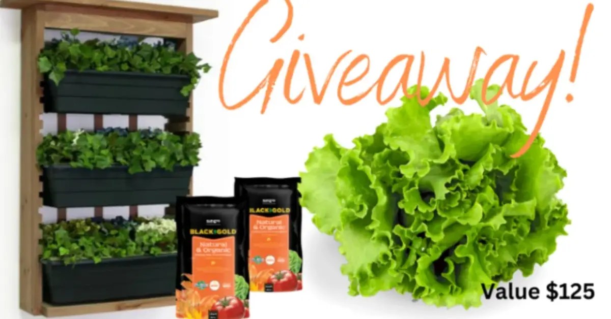 Vertical Vegetable Garden Giveaway