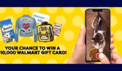 Walmart Temptations Cats Lose Their Cool Contest