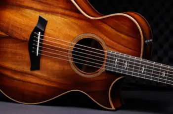 Taylor Dream Guitar Vote a Thon Sweepstakes