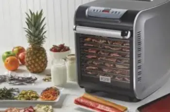 Weston 10 Tray Digital Food Dehydrator Giveaway