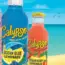 Calypso Summer Giveaway